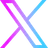 X Icon